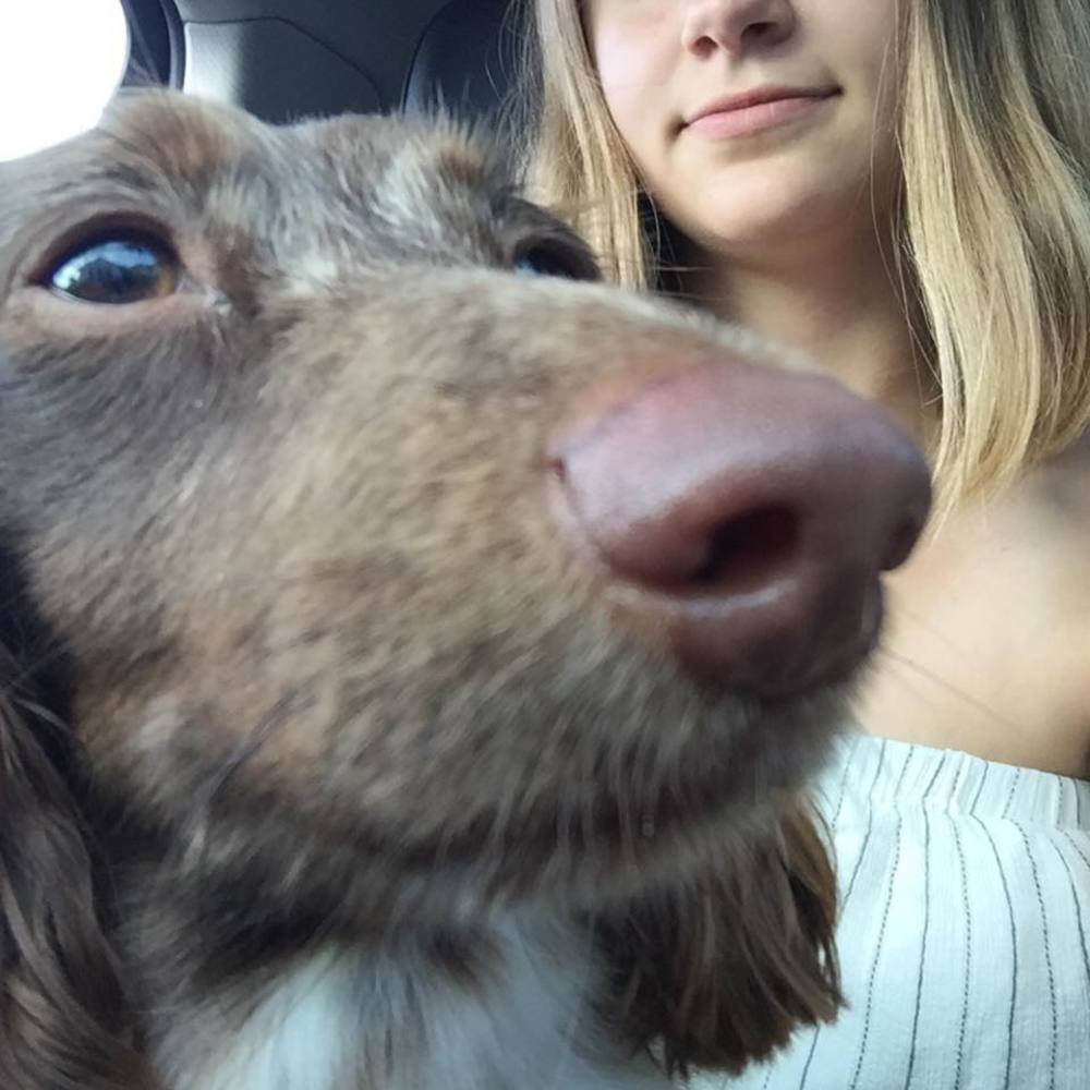 Meet your Posher, Hannah